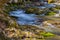 Rocky View of a Wild Mountain Trout Stream