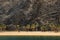 Rocky volcanic mountain and coastline of palm lined trees on the sandy beach of picturesque Playa de Las Teresitas, green