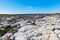 Rocky volcanic surface of the island South Plaza.