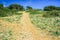 Rocky walking path in Cala Gat near Cala Rajada, Mallorca, Spain