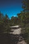 Rocky walking trail surrounded by a green coniferous forest on a sunny summer day with a blue sky