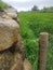 Rocky wall with grassy landscape