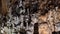 Rocky walls inside the Grotta Gigante giant cave with metal long stairs, Italy