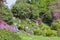 Rocky waterfall in flowering english garden, springtime