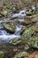 Rocky Wild Trout Stream in the Blue Ridge Mountains