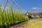 Rococo castle Steknik with hop field, Czech Republic