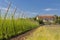 Rococo castle Steknik with hop field, Czech Republic