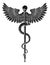 Rod of Asclepius Vintage Medical Snake Symbol