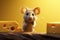 Rodent animation A playful little mouse and cheese in a cartoon