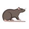 Rodent rat single icon in cartoon style for design.Pest Control Service vector symbol stock illustration web.