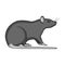 Rodent rat single icon in monochrome style for design.Pest Control Service vector symbol stock illustration web.