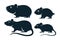 Rodents icons