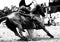 Rodeo Barrel Racing Closeup (BW)