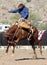 Rodeo Bucking Bronc Rider