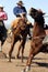 Rodeo Bucking Bronc Rider