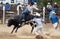Rodeo - Cowboy riding a bull