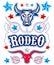 Rodeo Poster Elements, Bull, Rope and American stars vector set