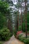 Rododendrons blossom in an hungaian Country garden forest in Jeli arboretum botanical garden