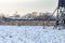 Roe deer graze in the snow-covered meadows