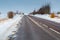 Roe deers crossing a road