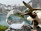 Roebuck antlers next to lensball, crystal ball, with reflections of Lake Lunersee (Lünersee, Montafon, Vorarlberg).