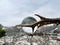 Roebuck antlers next to lensball, crystal ball, with reflections of Lake Lunersee (Lünersee, Montafon, Vorarlberg).