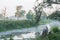 Rogalin Landscape Park - aoxbow lake and meadow with tree in the mist after sunrise