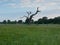 Rogalin wetlands. The most famous oaks in Poland before sunrise