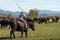 Rogoz, Romania, October 12th, 2019, Portraiture of young boy riding buffalo  in Maramures