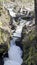 Rogue River Cascades Deadfall and Canyon