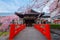 Rokusonno shrine with beautiful full bloom cherry blossom in spring