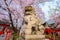 Rokusonno shrine with beautiful full bloom cherry blossom in spring