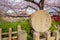 Rokusonno shrine with beautiful full bloom cherry blossom in spring