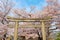 Rokusonno shrine in Kyoto, Japan with beautiful full bloom cherry blossom in spring