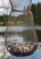 The role of a fisherman in a fish storage net, summer nature by the lake