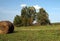 A roll of hay on a field. Some trees in the background.