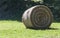 Roll of hay lie in a sloping field.