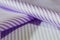 Roll purple and white strip fabric of shirt