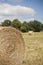 Roll straw at the countryside on a sunny day