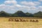 Roll straw farmland