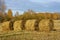 Roll of straw in the field at the edge of the forest