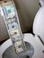 roll of toilet paper money in toilet