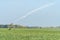 Rollaway automatic sprinkler watering gun irrigating farmer`s field in spring season