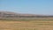 Rolled bales of hay on a green field