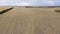 Rolled hay bales in a dry agricultural field in regional Australia