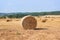 Rolled Hay in a field