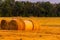 Rolled haystack on agriculture field landscape. Haystack farmland field panorama. Harvest in haystack agriculture farm