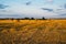 Rolled haystack. hay bale. agriculture field with sky. rural landscape. straw on the meadow. harvest in summer