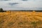 Rolled haystack. hay bale. agriculture field with sky. rural landscape. straw on the meadow. harvest in summer