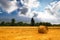 Rolled haystack in a picturesque agricultural field, grain harvest season